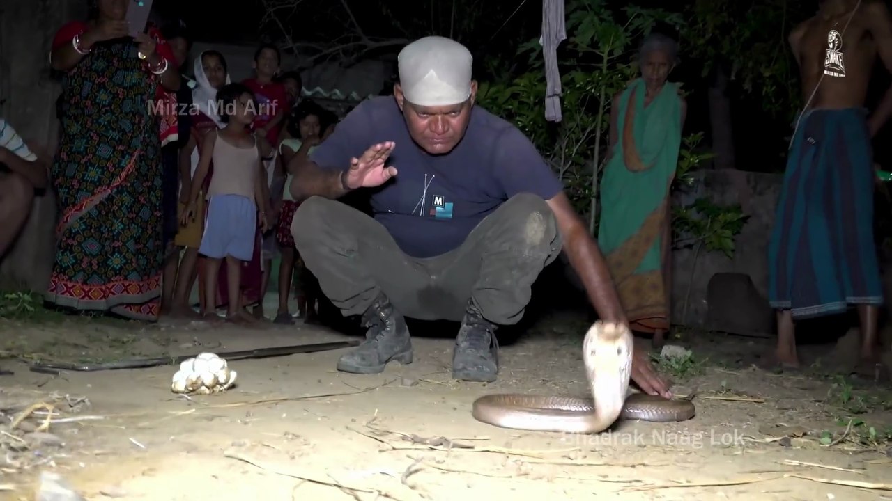 cobra snake rescue part 3