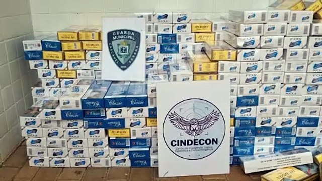 GM apreende grande quantidade de cigarros contrabandeados na BR-277, em Cascavel