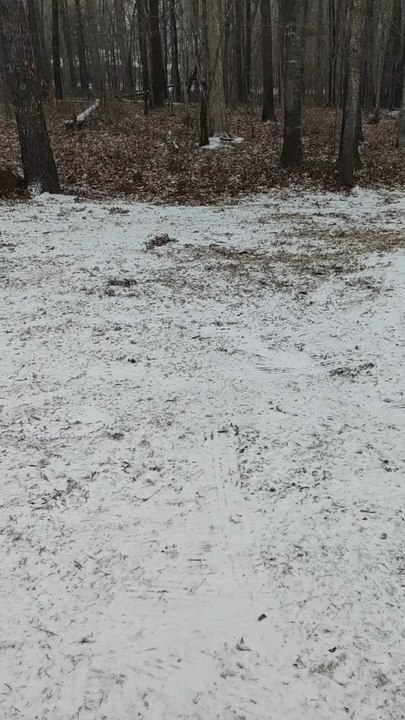 Snowfall in North Carolina
