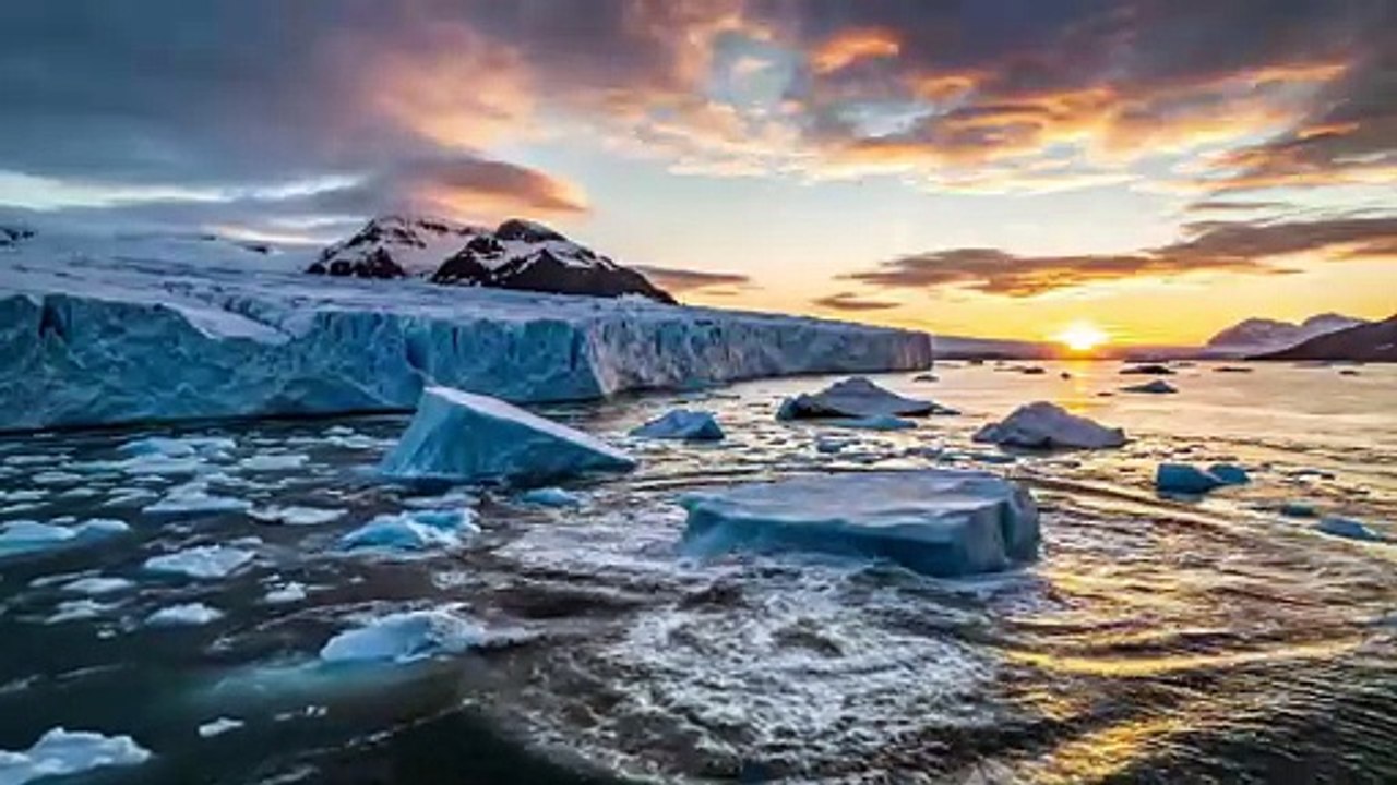 “Arctic Wilderness Survival in a Frozen World”