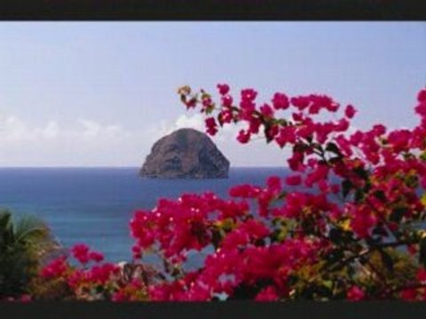 Kole Sere Jocelyne Beroard La Martinique