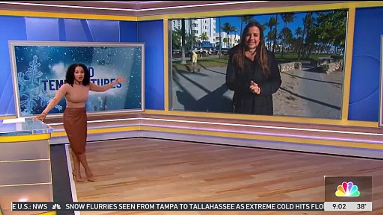 Chute historique des températures en Floride : Il n'avait jamais fait aussi froid hier, 1er février, à Miami depuis... 117 ans ! Gelées, les iguanes tombent des arbres partout dans la ville