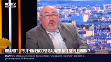 BFM éco : Brandt, peut-on encore sauver notre fleuron ? - 02/02