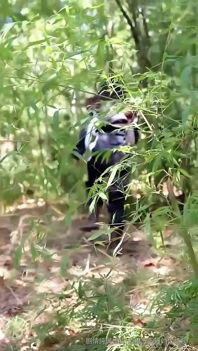 Seven Years of Winds and Regrets. DRAMA MOVIES ENGLISH SUB