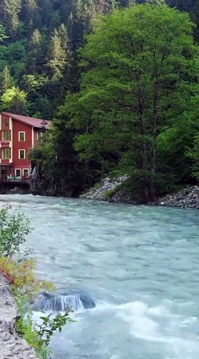 Méditation Profonde : Musique Relaxante pour Se Détendre, Réduire le Stress et Retrouver la Sérénité #nature #relaxingmusic #meditation #relaxation