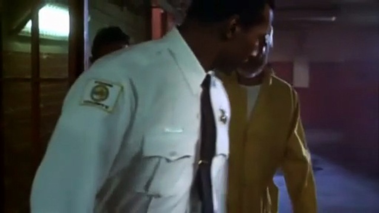 Auf der Flucht Trailer OV