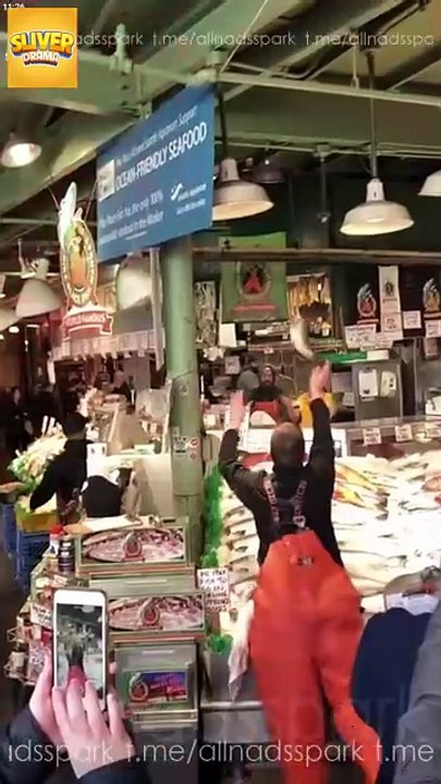 The Homeless Fishmonger Is My Billionaire Husband Full Movie HD I Best Drama ShortFilms Hot Billionaire CEO Emotional Exciting Forbidden Love Romance 2025