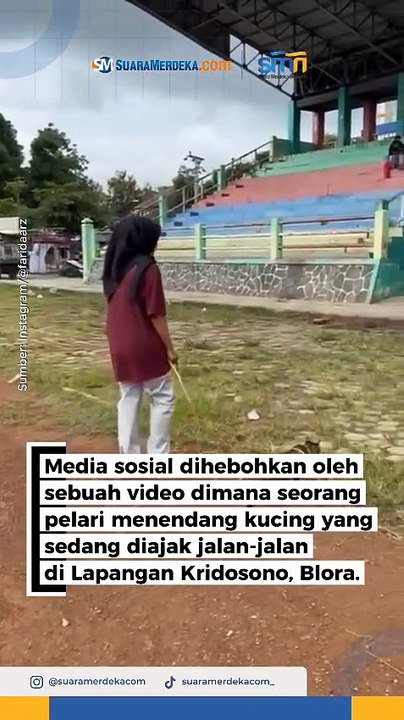 Kasus Penendangan Kucing di Blora, Pelaku Berinisial PJ Masih Diperiksa