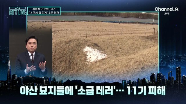 [김종석의 리포트]묘지에 소금 테러 “내 조상 잘 되게” 황당한 이유