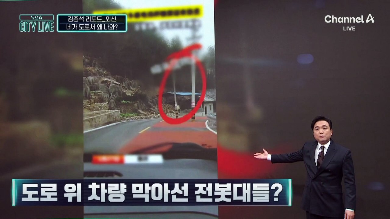 [김종석의 리포트]네가 도로서 왜 나와…차량 막아선 전봇대들?