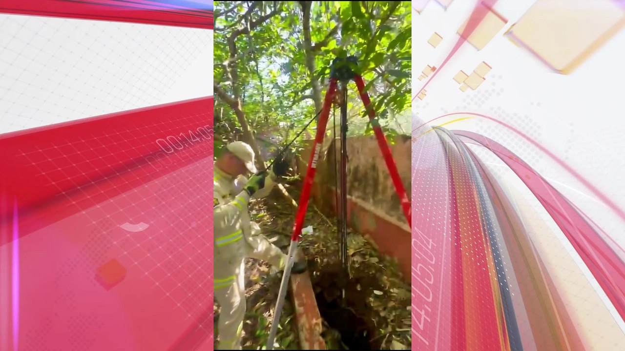 Cadela é retirada de poço antigo por bombeiros em Foz do Iguaçu; veja