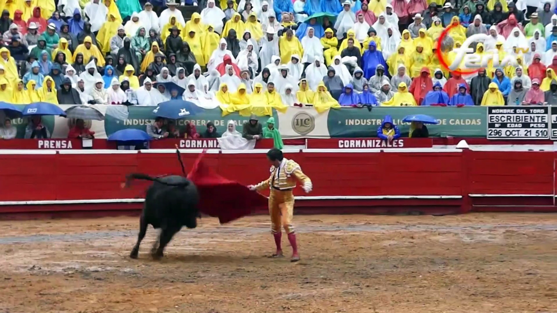 Borja Jiménez diestro sevillano y uno de los grandes triunfadores de 2025