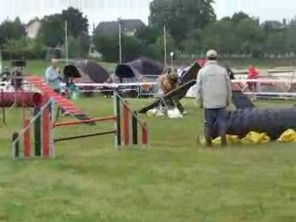 Vicking gpf mortagne