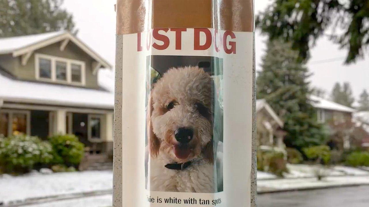 Ring’s Super Bowl LX Ad “Be a Hero in Your Neighborhood” Spotlights Search Party