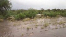 Un fuerte temporal de lluvia azotó a la provincia de San Juan y provocó el corte total de la Ruta Nacional 141