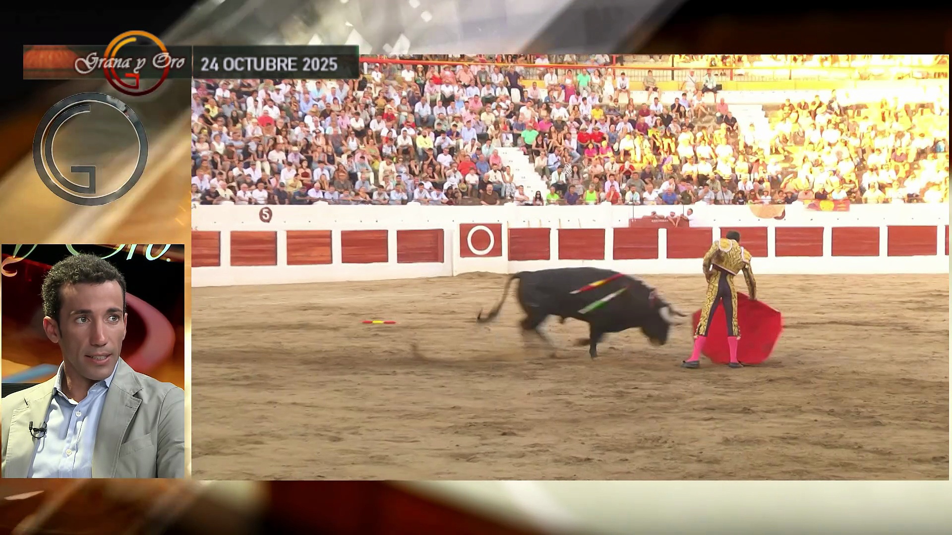 Grana y Oro especial Navidad