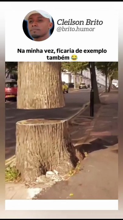 Tondela x Benfica – Melhores Momentos e Gols