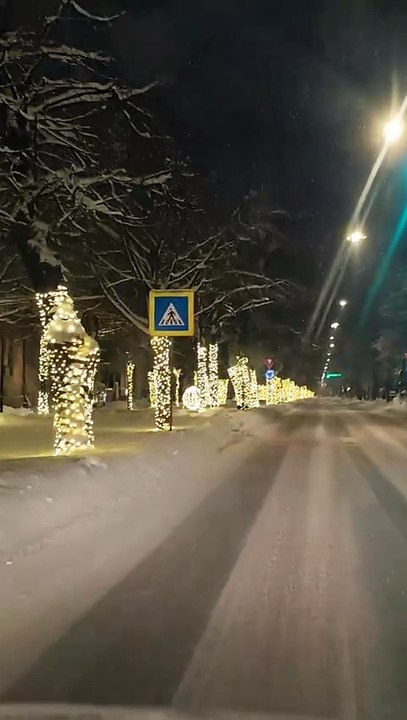 Bistrița Boulevard, Romania 🇷🇴