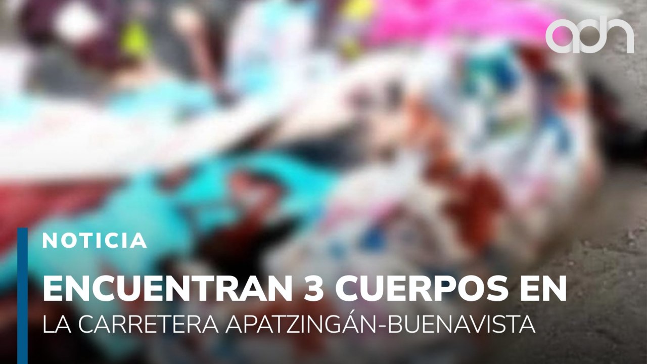 Encuentran 3 cuerpos en carretera de Michoacán
