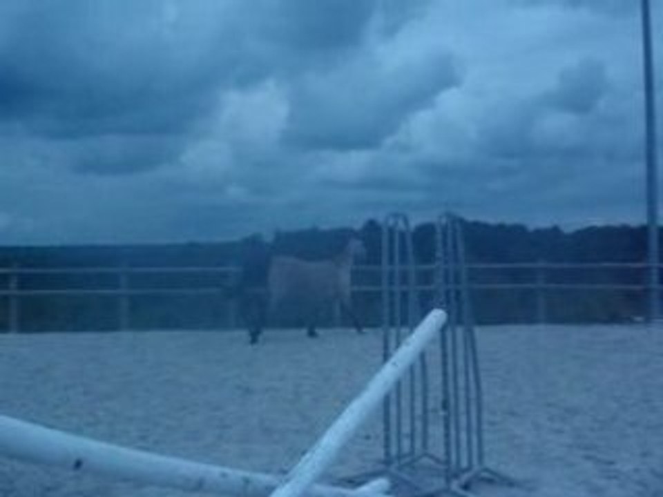 MOV00992