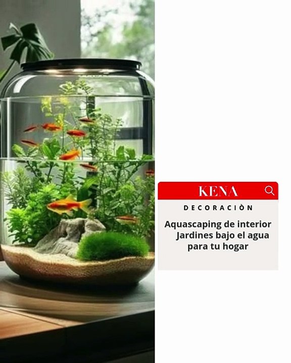 💧 Aquascaping: Cómo crear tu propio jardín subacuático en casa 🌿🐠