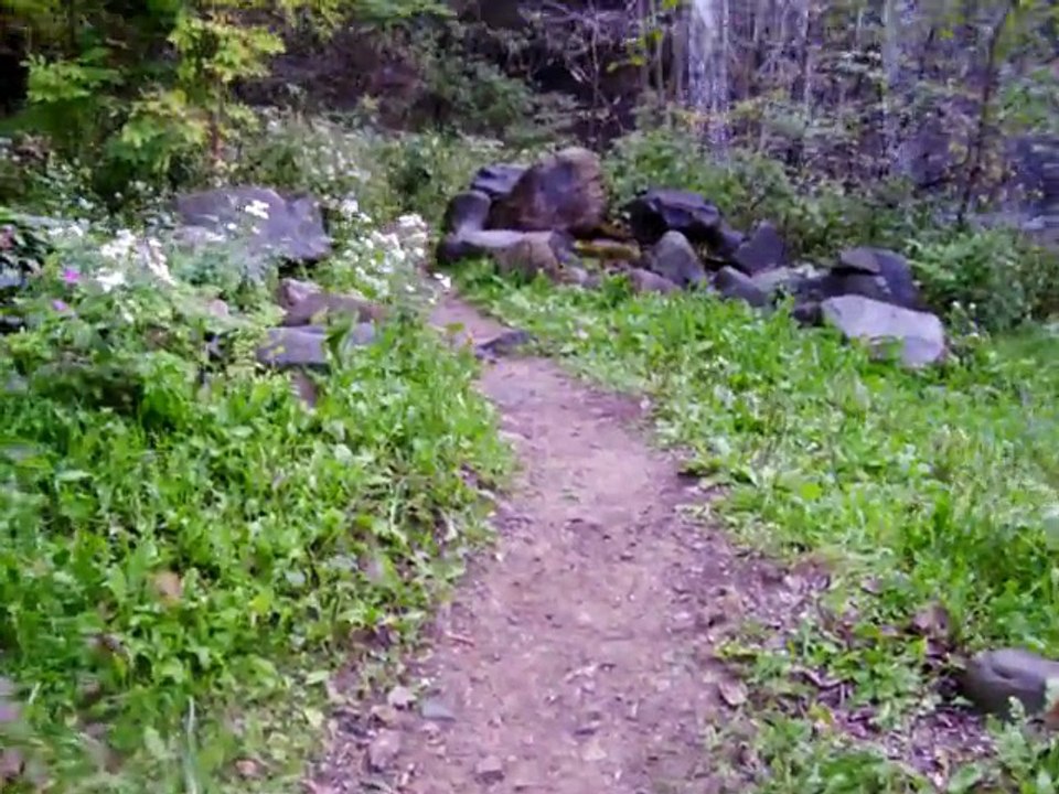Jeff's journal cascade falls