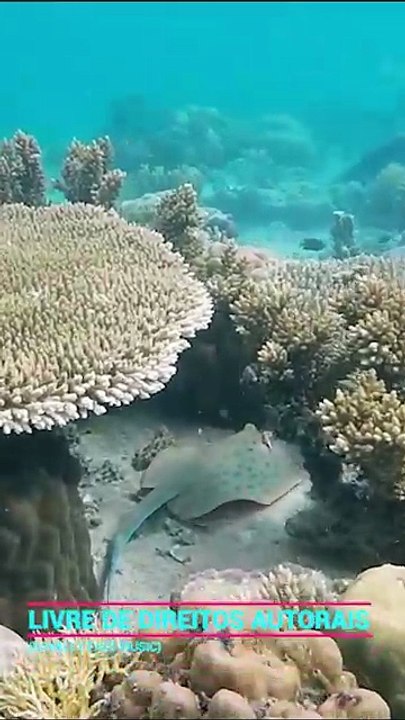 ✅💘Música agradável para trabalhar- Fragmentos #108