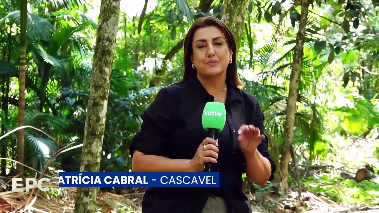 Temporada de lagartas mortais acende alerta em parques e áreas verdes