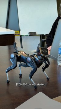 Hengbot Sirius Robot Dog #shorts