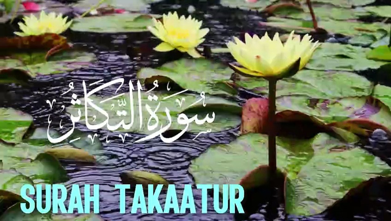 Surah At-Takathur | Quran Recitation | Reminder of Akhirah & Humility | Sourate At-Takathur Abbasi studio