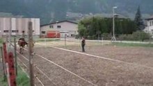 Jimini trot 30.05