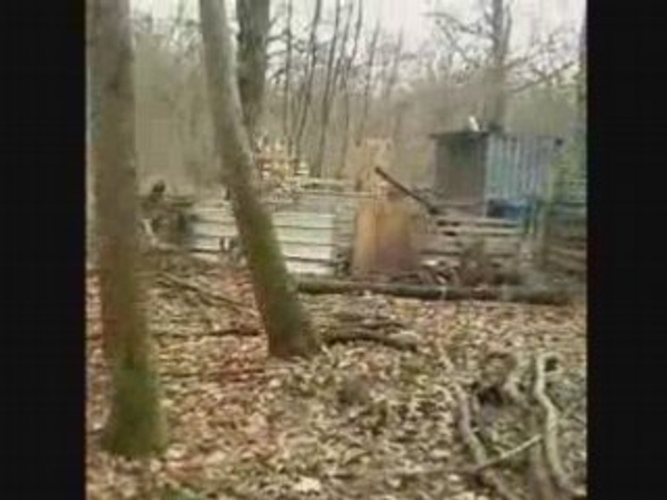 W-S-T: Airsoft: Forêt aménager