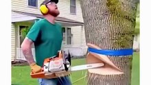 Tree cutting, or arboriculture, is essential for safety and forest health