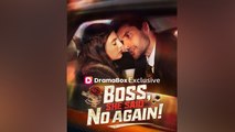 Boss, She Said No Again