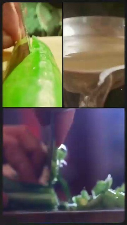 CEO's daughter rejects the food cooked by all except cooked by this girl!CEO immediately married her (BQ)