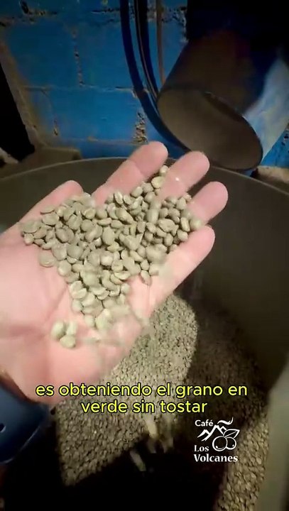 cafe en verde sin tostar