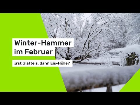 Winter-Hammer im Februar: Erst Glatteis, dann Eis-Hölle? Meteorologen warnen vor Extrem-Frost