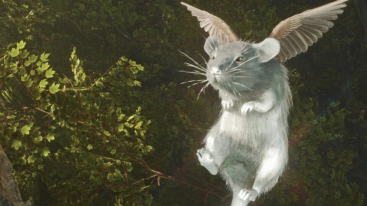 Kaum zu glauben, aber im Action-Rollenspiel Soulframe gebt ihr einem Bären eine Darmspiegelung