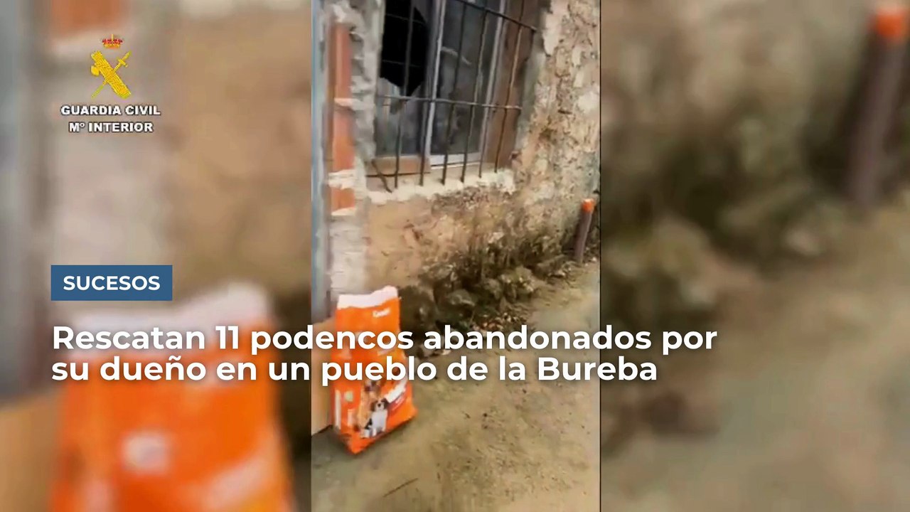 Podencos