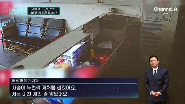 [김종석의 리포트]휴대전화 사러 왔사슴?