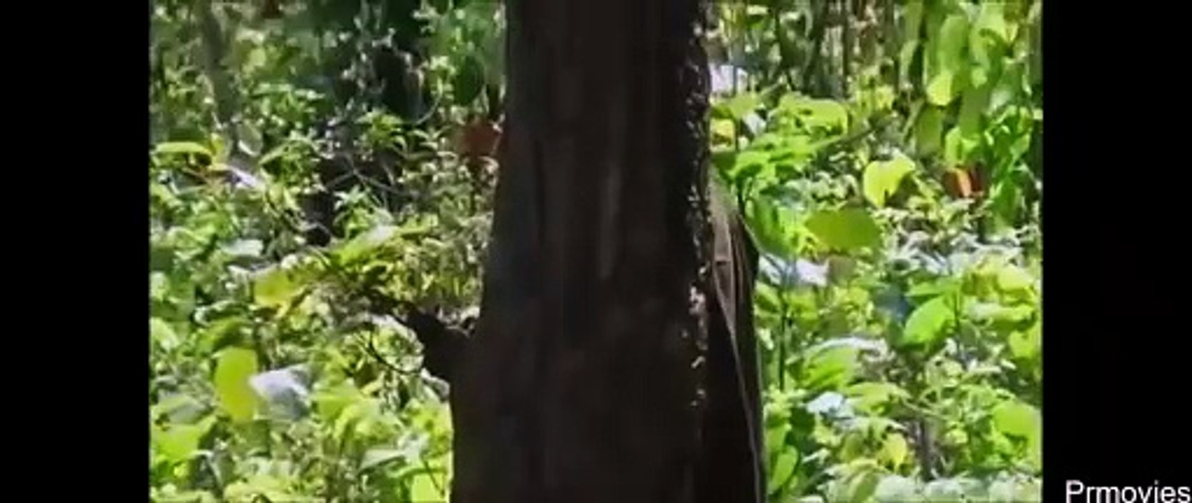 Thriller,Joram ,hindi movie