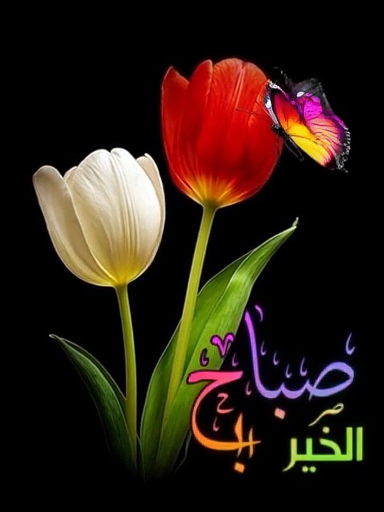 Best Islamic and moral stories