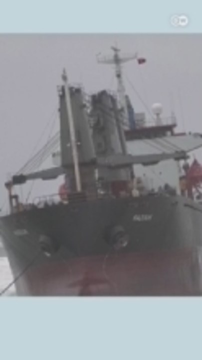 Istanbul: Cargo ship runs aground in storm