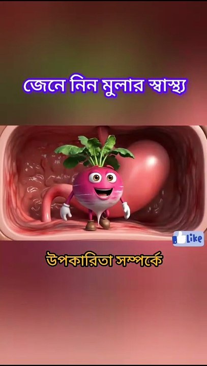 জেনে নিন মুলার স্বাস্থ্য উপকারিতা সম্পর্কে Learning Time BD