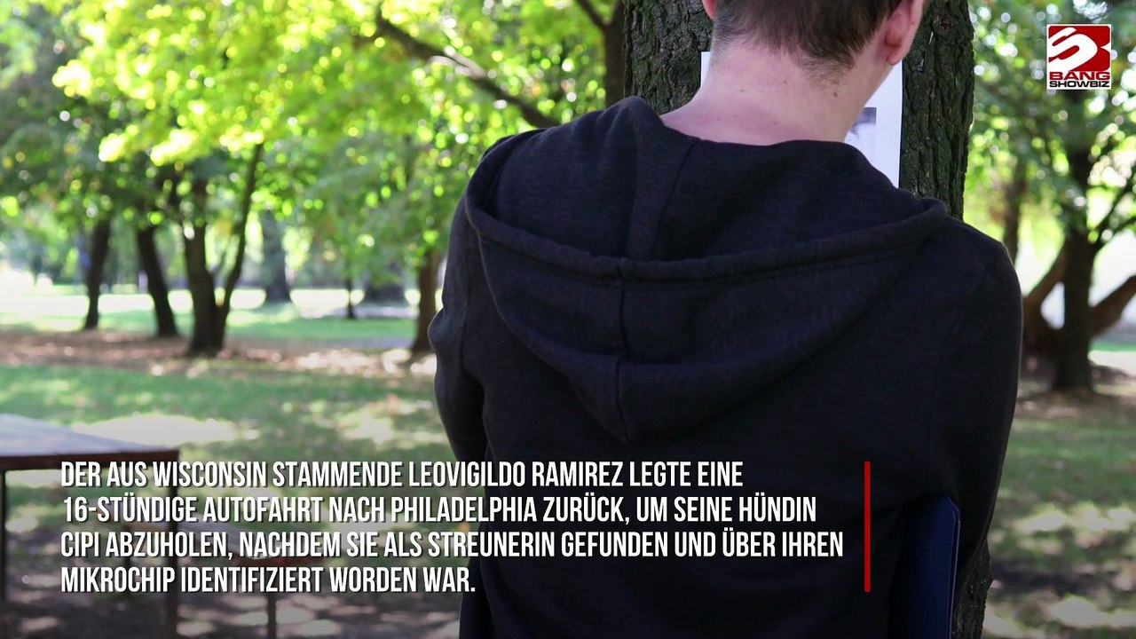 Vermisster Hund nach vier Jahren wiedergefunden