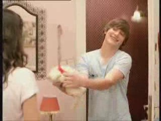 Publicidad Sprite - Cientos de gatitos !