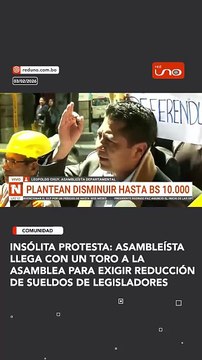 Insólita protesta: Asambleísta llega con un toro a la Asamblea para exigir reducción de sueldos de legisladores