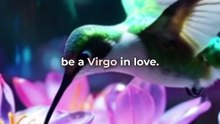 Virgo (born in: August 23 - September 22) daily zodiac sign horoscope