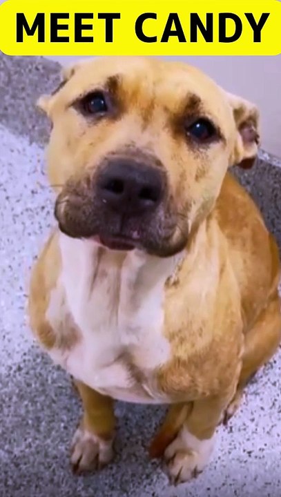 Candy needs our help!