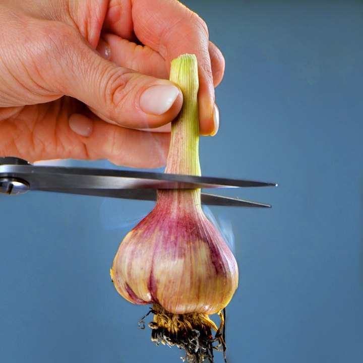 Fast & Easy ways to keep Food Fresh for longer!